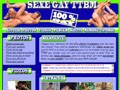 Détails : Sexe gay